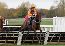 Pricedup.bet Juvenile Maiden Hurdle