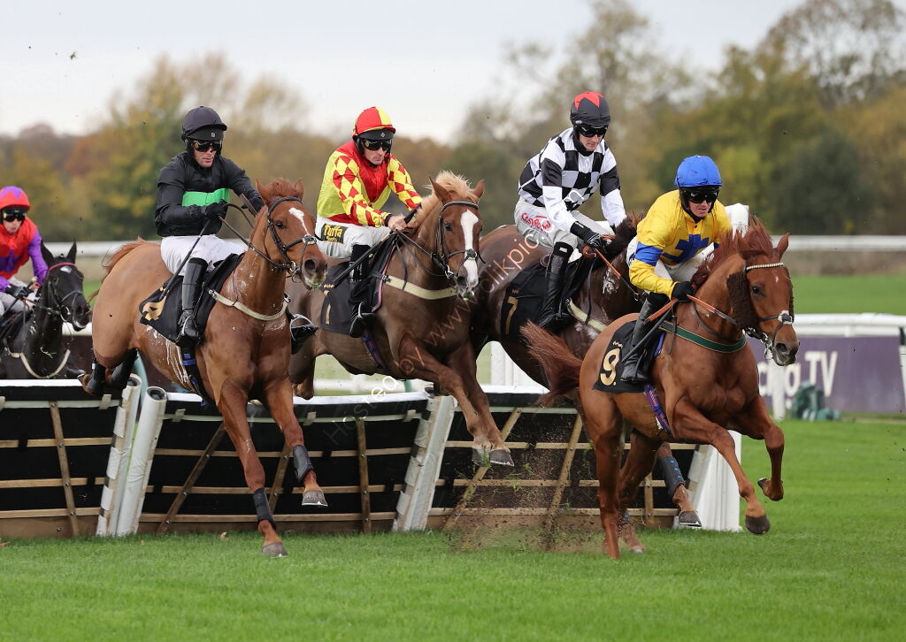 Pricedup.bet Juvenile Maiden Hurdle