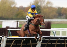 Pricedup.bet Juvenile Maiden Hurdle