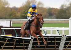 Pricedup.bet Juvenile Maiden Hurdle