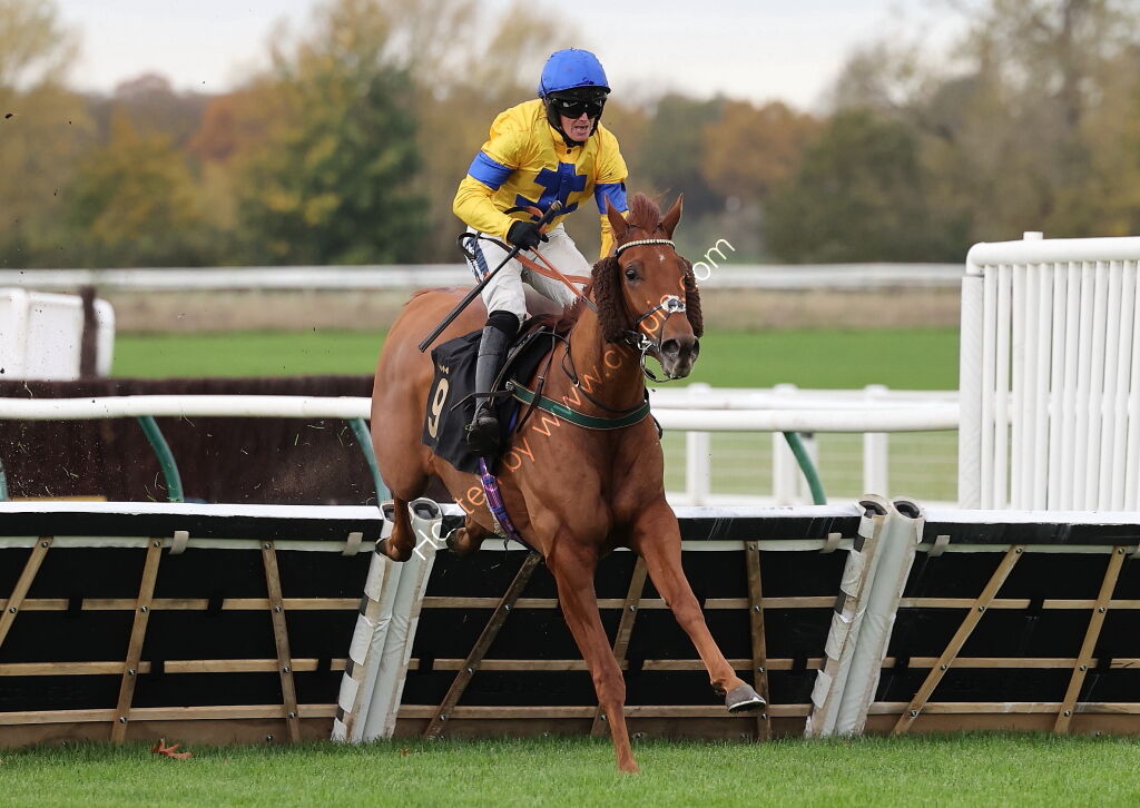 Pricedup.bet Juvenile Maiden Hurdle