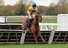 Pricedup.bet Juvenile Maiden Hurdle