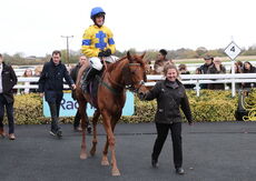 Pricedup.bet Juvenile Maiden Hurdle