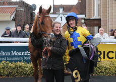 Pricedup.bet Juvenile Maiden Hurdle