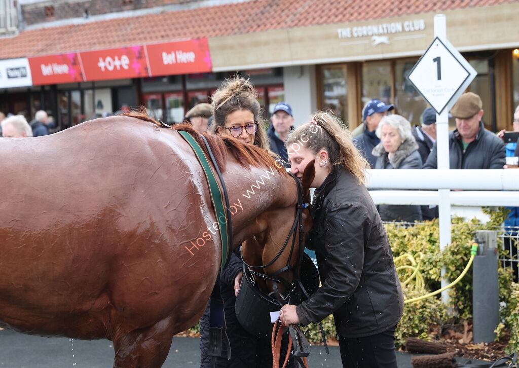Pricedup.bet Juvenile Maiden Hurdle