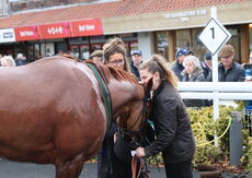 Pricedup.bet Juvenile Maiden Hurdle