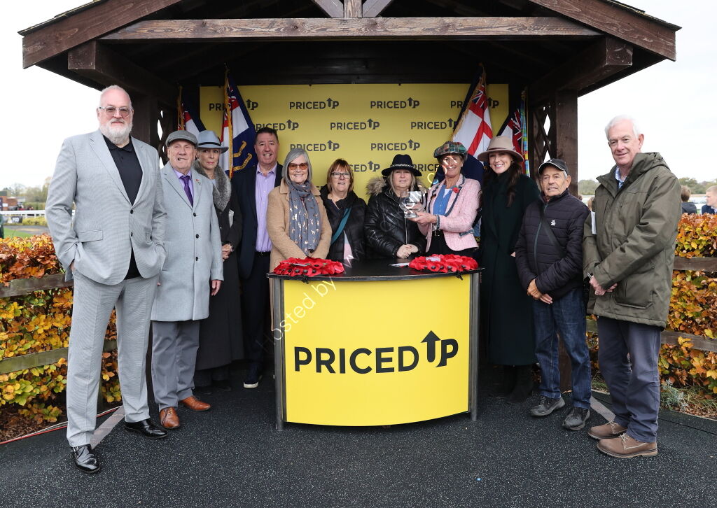 Pricedup.bet Juvenile Maiden Hurdle