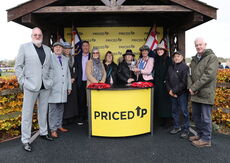 Pricedup.bet Juvenile Maiden Hurdle