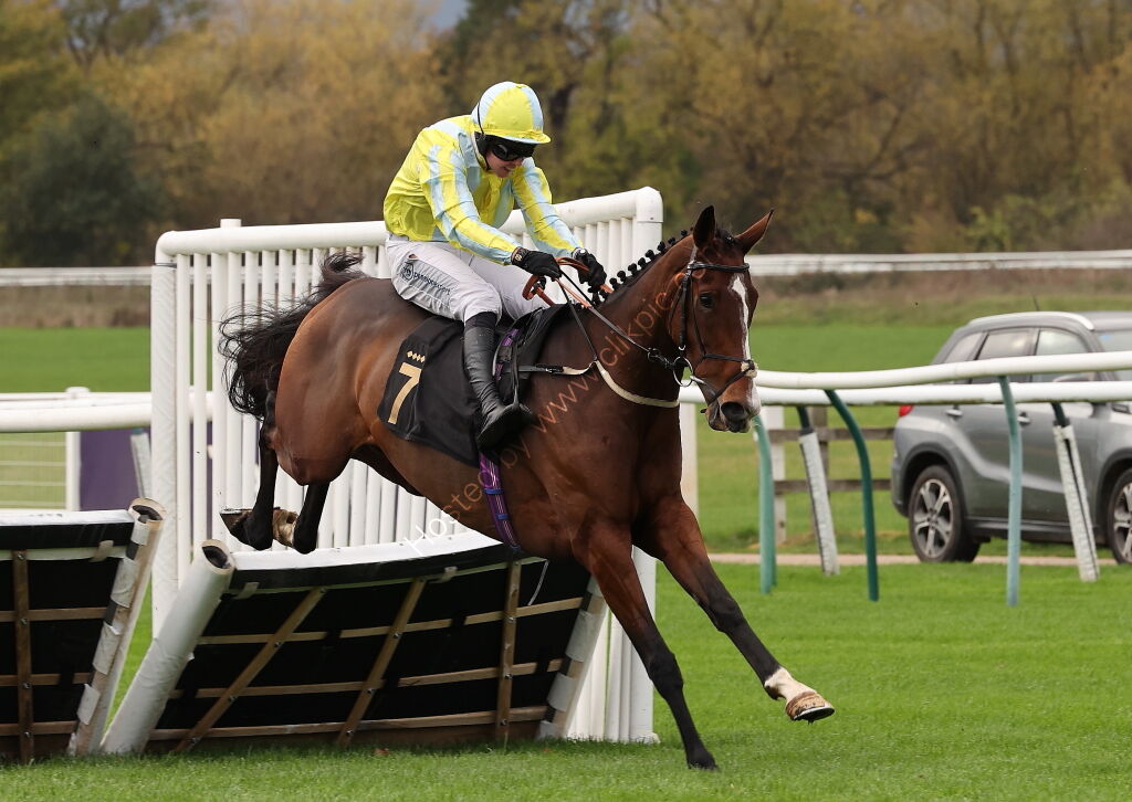 Pricedup Nov Hurdle