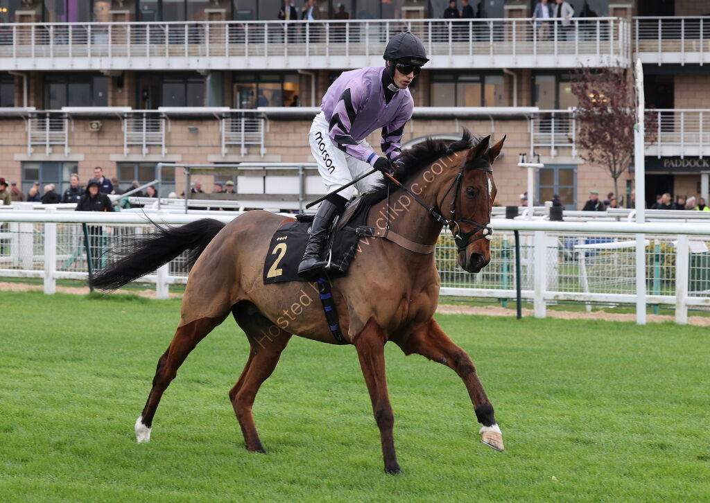Stan Mellor Memorial Novices' Chase