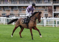 Stan Mellor Memorial Novices' Chase