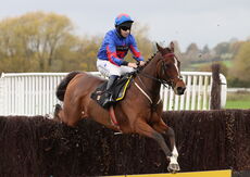 Stan Mellor Memorial Novices' Chase