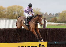 Stan Mellor Memorial Novices' Chase