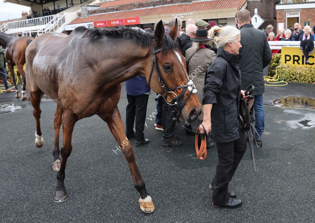 Stan Mellor Memorial Novices' Chase