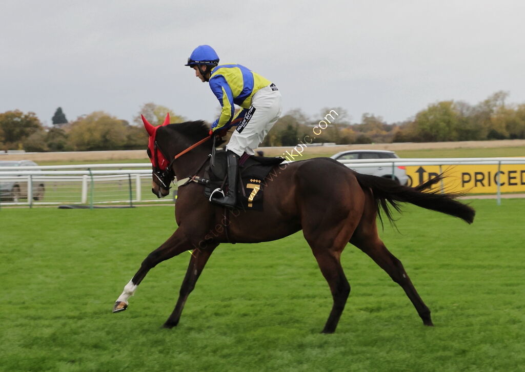 Pricedup  Handicap Hurdle