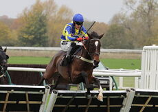 Pricedup  Handicap Hurdle