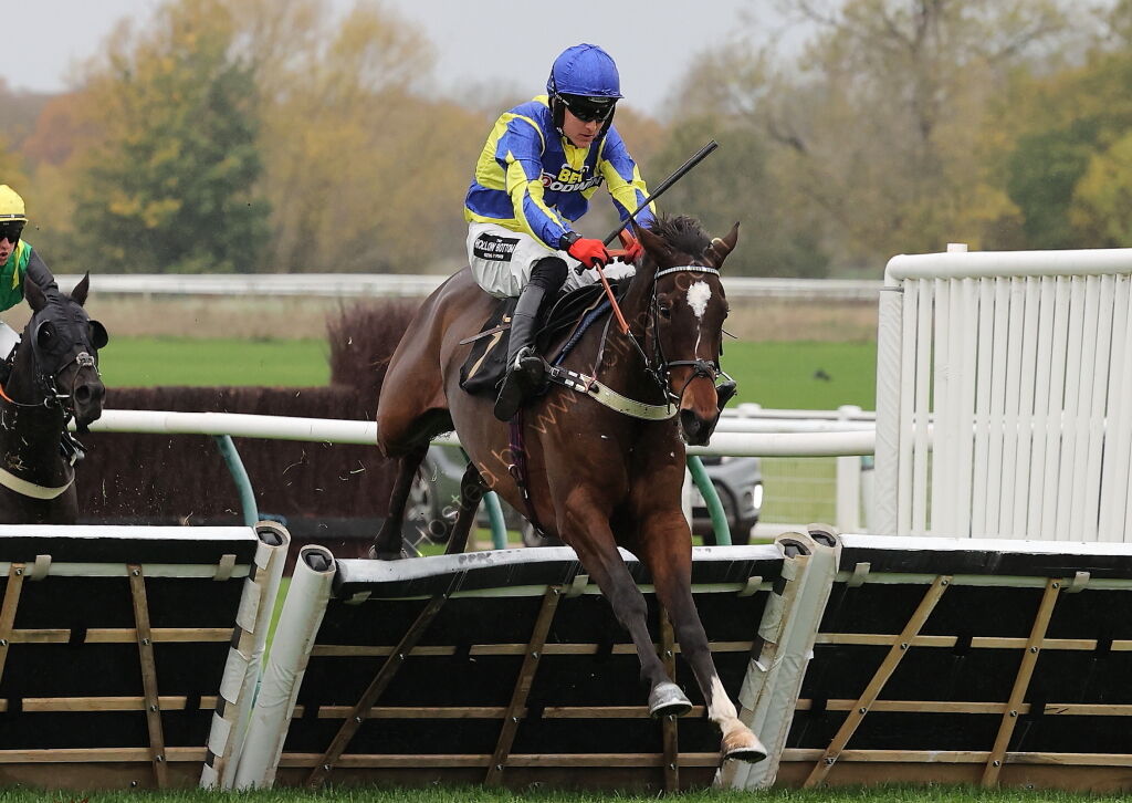 Pricedup  Handicap Hurdle