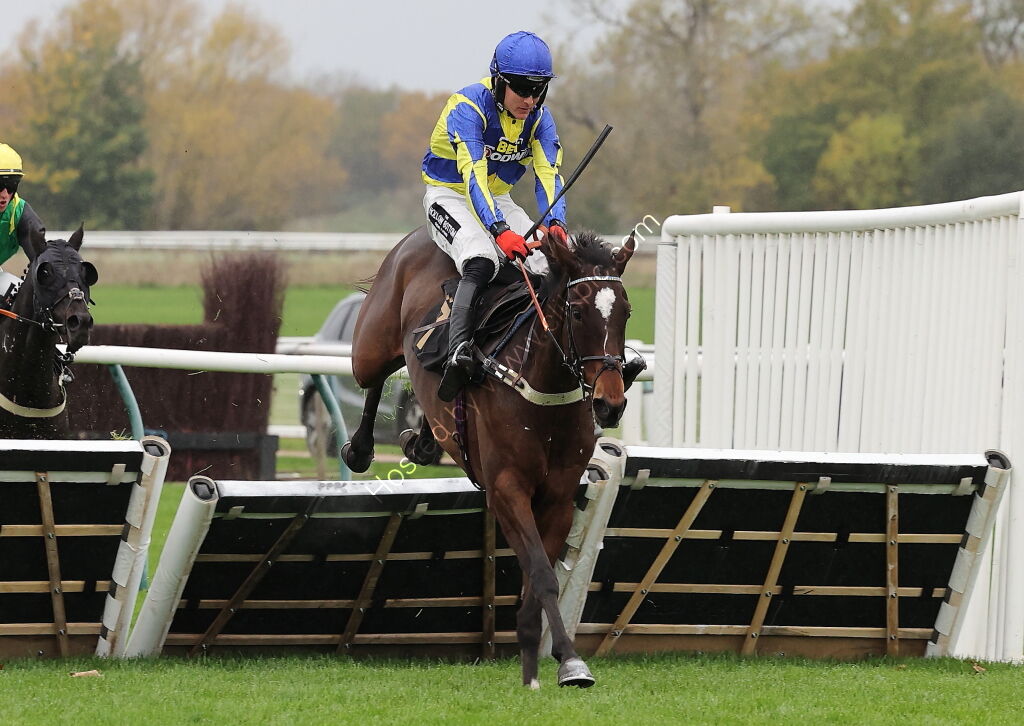 Pricedup  Handicap Hurdle