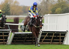 Pricedup  Handicap Hurdle