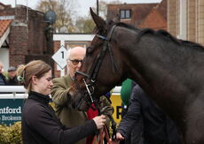 Pricedup  Handicap Hurdle