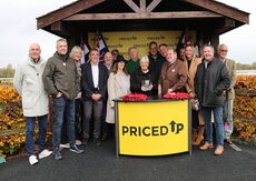 Pricedup  Handicap Hurdle