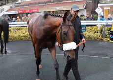 Jets Richard Davis Awards Handicap Chase
