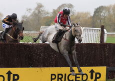 Pricedup The Jumps  H'cap Chase