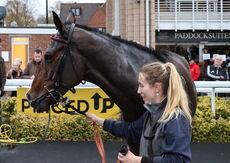 Pricedup The Jumps  H'cap Chase