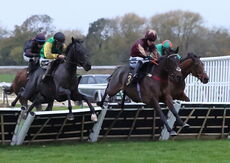 Pricedup App  Handicap Hurdle