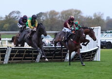 Pricedup App  Handicap Hurdle