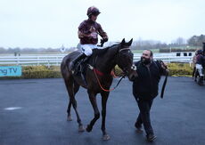 Pricedup App  Handicap Hurdle