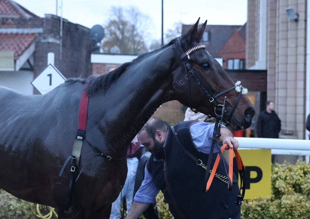 Pricedup App  Handicap Hurdle