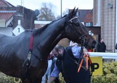 Pricedup App  Handicap Hurdle