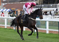 Warwick Supports Farmers Nov Ltd H'cap Chase