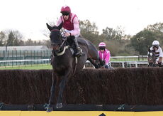 Warwick Supports Farmers Nov Ltd H'cap Chase