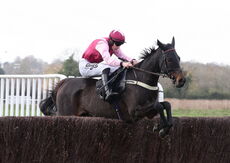 Warwick Supports Farmers Nov Ltd H'cap Chase