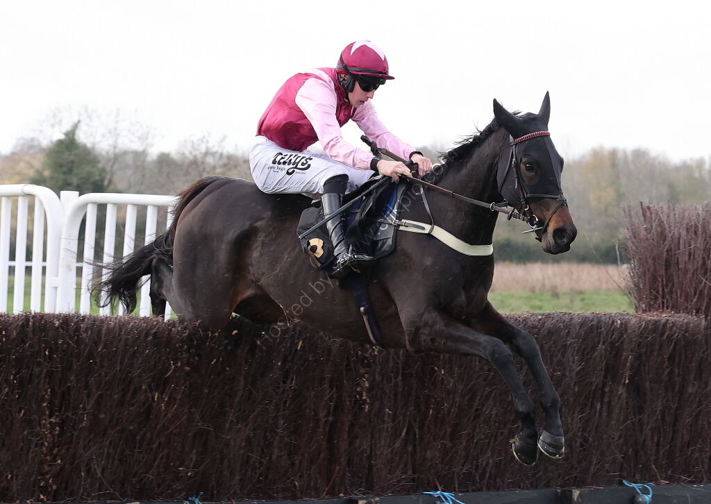 Warwick Supports Farmers Nov Ltd H'cap Chase