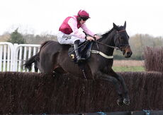 Warwick Supports Farmers Nov Ltd H'cap Chase