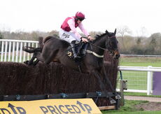 Warwick Supports Farmers Nov Ltd H'cap Chase