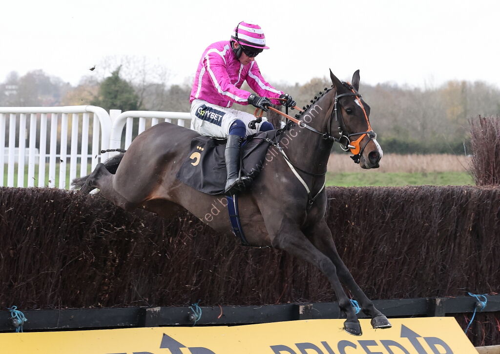 Warwick Supports Farmers Nov Ltd H'cap Chase