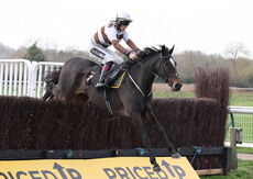 Warwick Supports Farmers Nov Ltd H'cap Chase