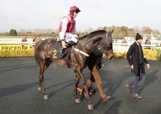 Warwick Supports Farmers Nov Ltd H'cap Chase