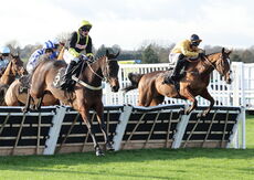 Pricedup.bet Cond Jockeys' H'cap Hurdle