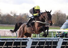 Pricedup.bet Cond Jockeys' H'cap Hurdle