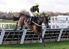 Pricedup.bet Cond Jockeys' H'cap Hurdle