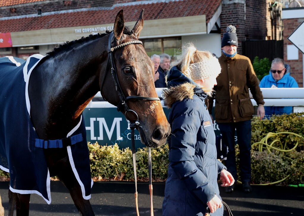 Pricedup.bet Cond Jockeys' H'cap Hurdle