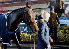 Pricedup.bet Cond Jockeys' H'cap Hurdle