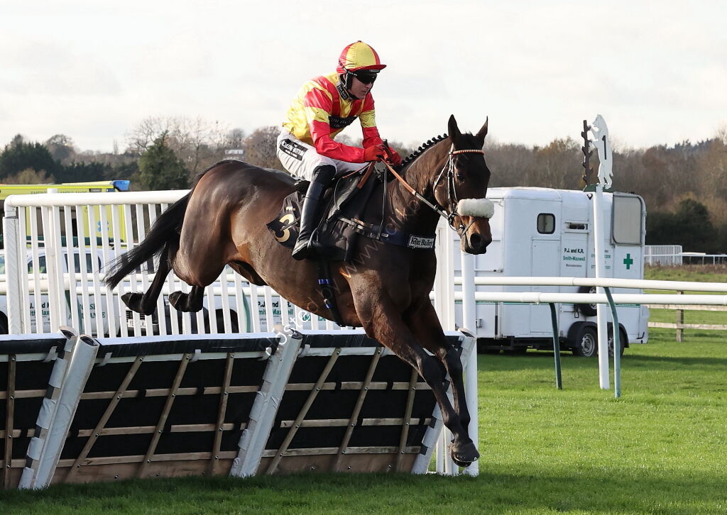 Pricedup Nov Hurdle