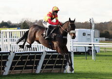 Pricedup Nov Hurdle