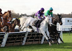 Pricedup Nov Hurdle